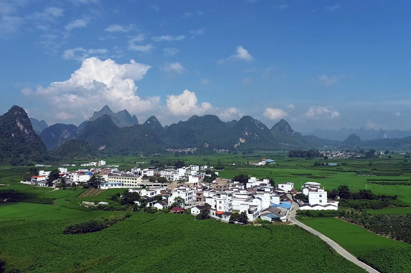 桑園環(huán)抱中的上坪村<div   id=